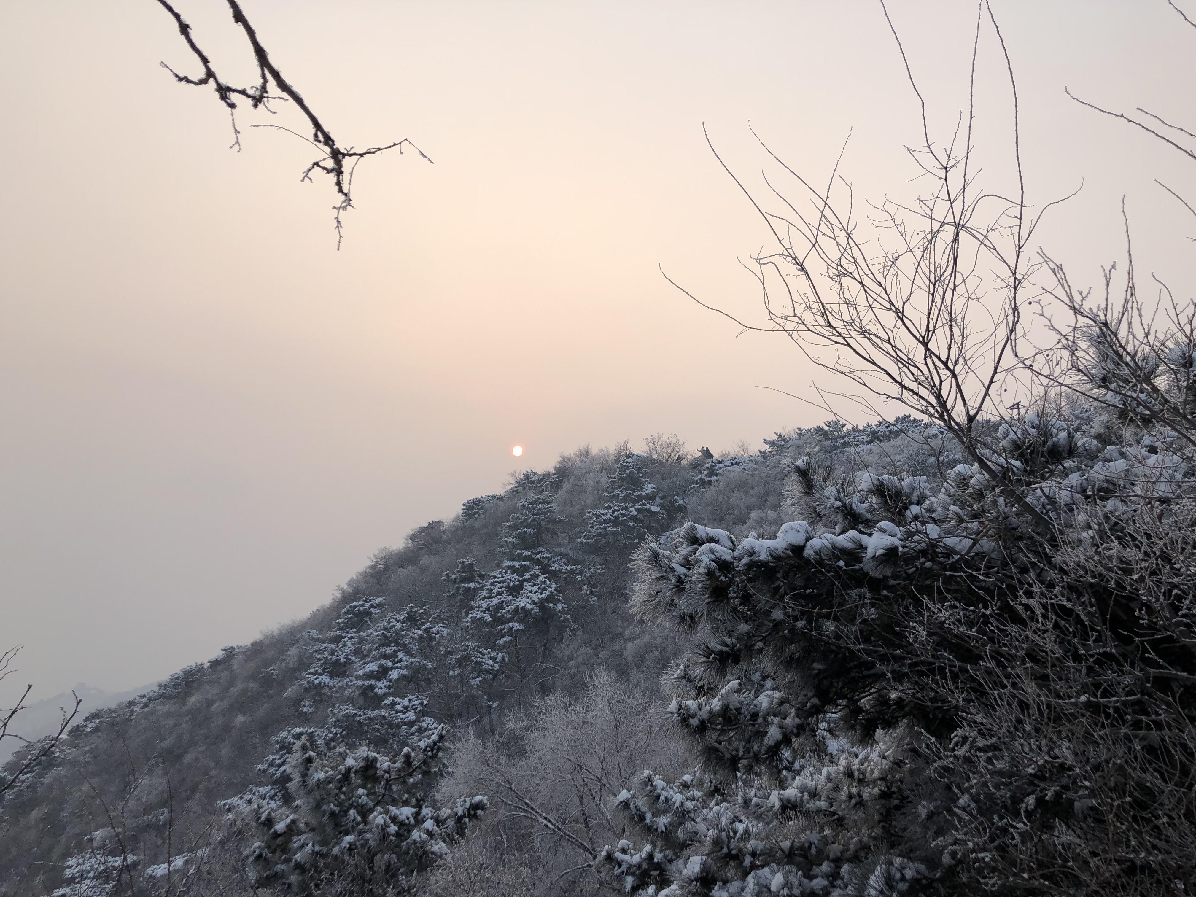 香山美景