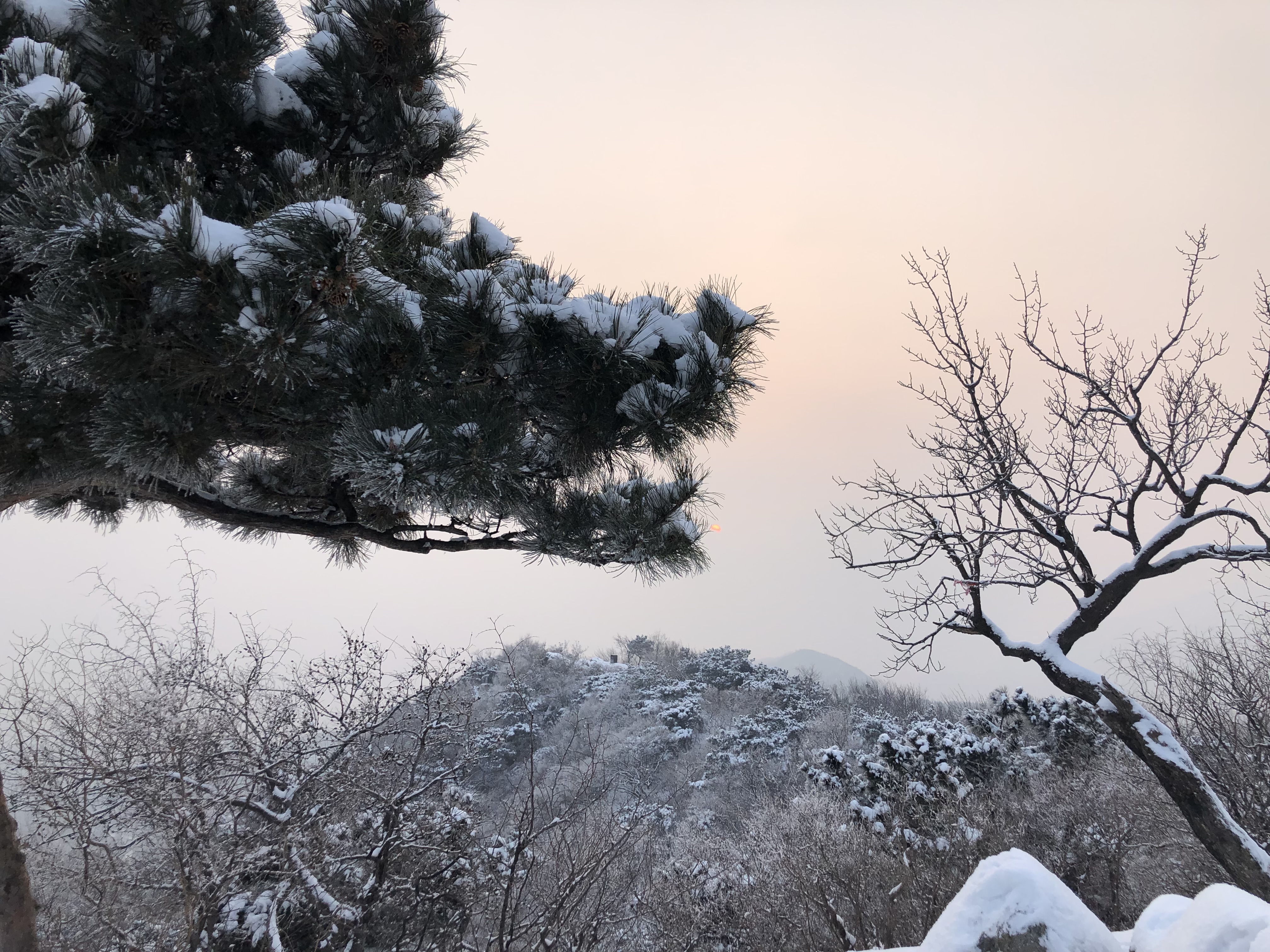 香山美景